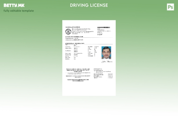 Шаблон за привремена лиценца во модерен стил на САД Минесота